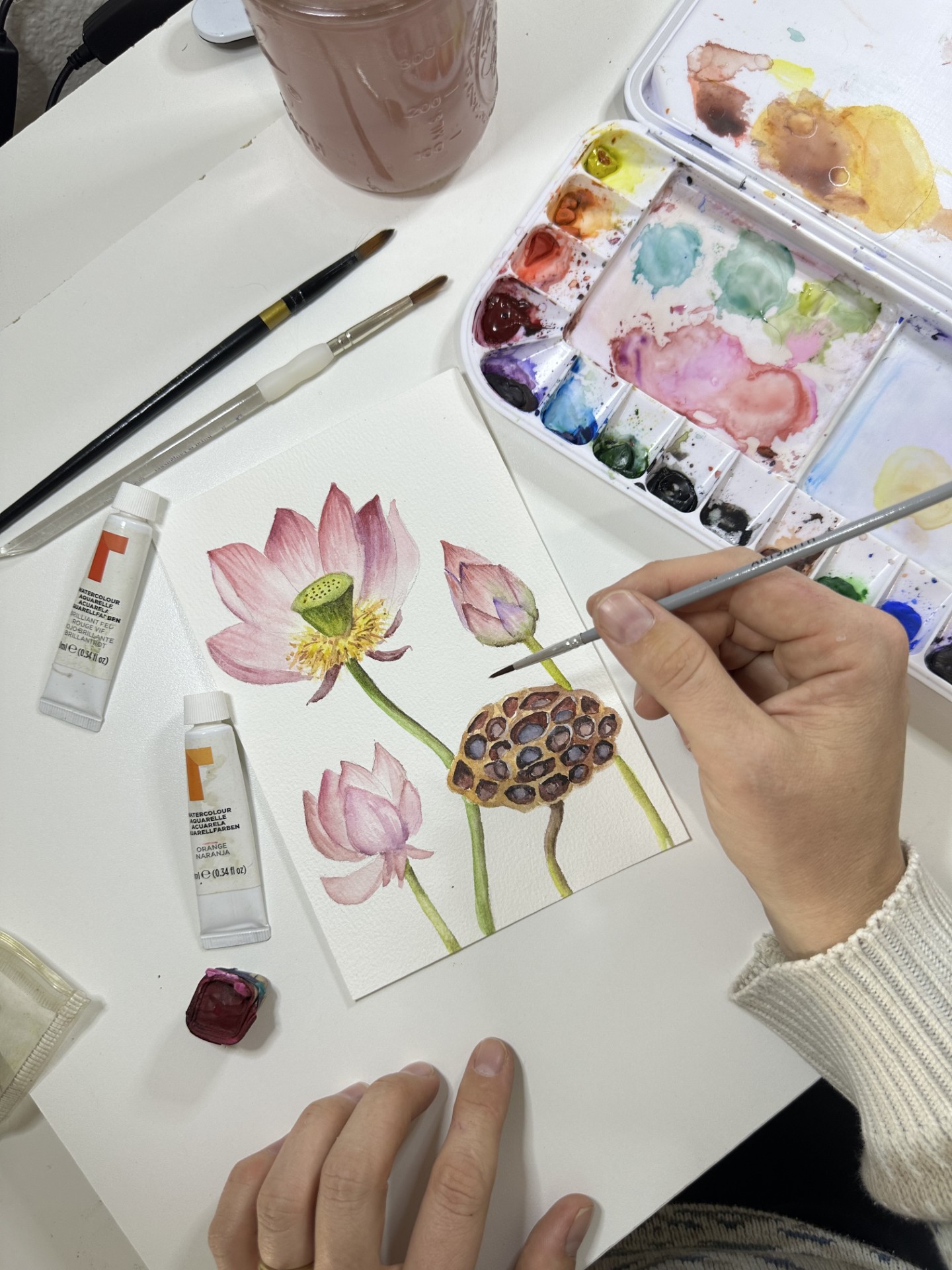 Online Class: Botanical Studies in Watercolor - The Georgia O'Keeffe Museum
