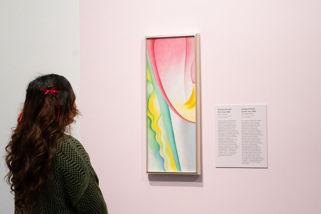 A person with long dark hair pulled up in small red bows looking at an abstract painting of a pink tulip. The painting is a vertical narrow canvas of an abstract section of a pink tulip. The upper quadrant of the picture plane encapsulates a large rounded draping petal shape in gradient shades of pink with an arc of yellow at the bottom of the form.