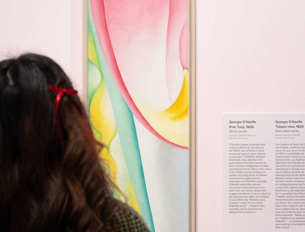 A person with long dark hair pulled up in small red bows looking at an abstract painting of a pink tulip. The painting is a vertical narrow canvas of an abstract section of a pink tulip. The upper quadrant of the picture plane encapsulates a large rounded draping petal shape in gradient shades of pink with an arc of yellow at the bottom of the form.