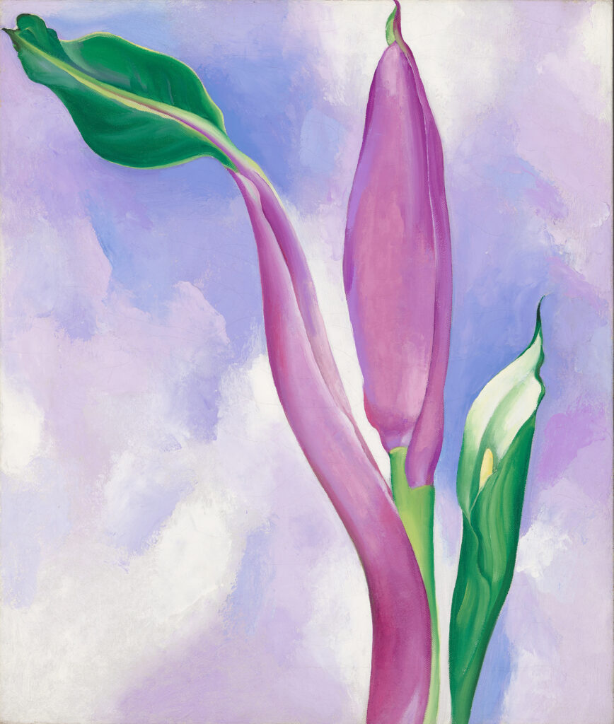 Oil painting of banana plant with one semi-opened flower (white) and large bud and stem detail (pink) with single leaf on pink/lavender background.