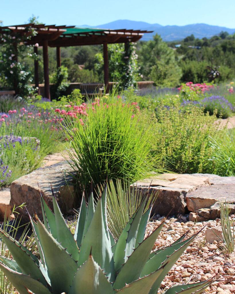 Photograph of an exterior gazebo at the Santa Fe Botanical Garden with green trees, flowers, cacti, and shrubs. In the background are green mountains and a blue sky filled with white clouds. At the bottom of the photograph in some stones are green grasses and a yuca plant.