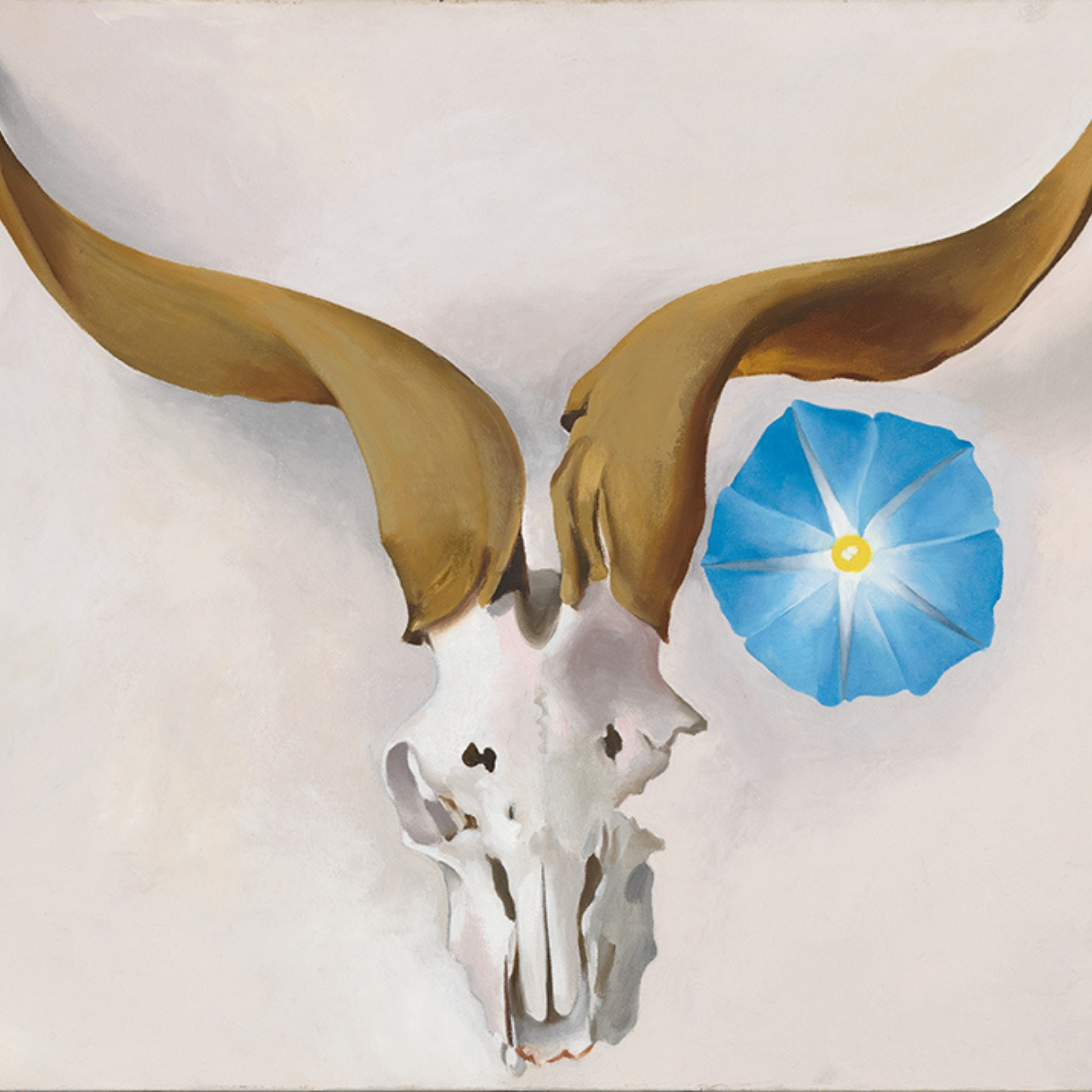 Oil on canvas of Ram's Skull Head and Blue Morning Glory on the proper left side of horn.