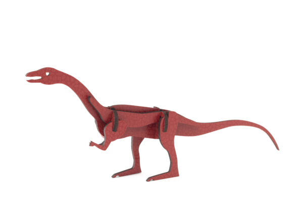 Effigia Okeeffeae 3D Wooden Kit