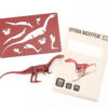 Effigia Okeeffeae 3D Wooden Kit - Image 4