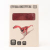 Effigia Okeeffeae 3D Wooden Kit - Image 5