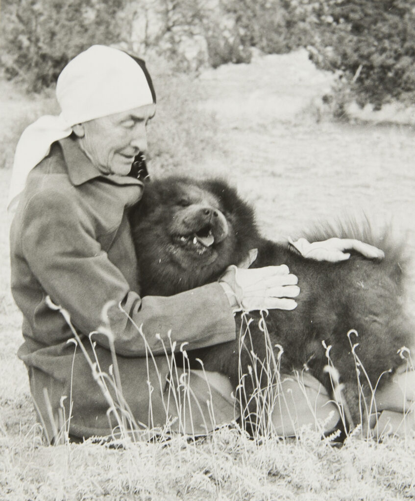 Black and white photograph of Georgia O'Keeffe sitting on a grassy ground and holding in her arms a Chow Chow dog. O'Keeffe wears a black and white bandana on her head and a jacket. The Chow Chow appears giddy.
