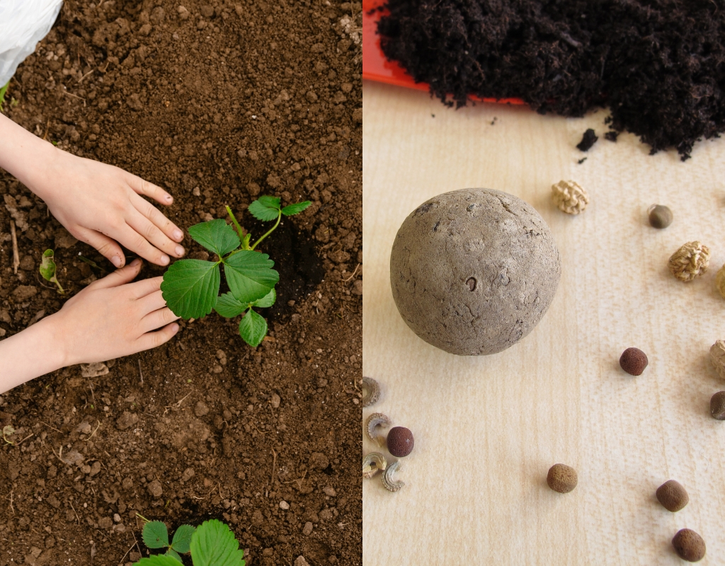 Left: A photograph of hands planting a green plant in some dark brown dirt. Right: A small round ball made of compact clay with seeds in it and more seeds strewn about on a table. Above the seed ball is some dark earth.