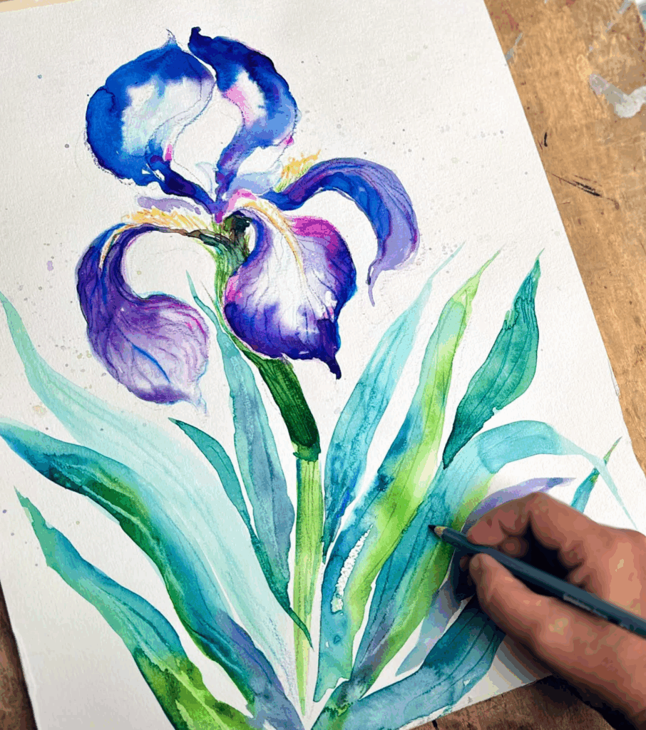 A photograph of a hand holding a blue pencil over a drawing of a blue and purple iris flower.