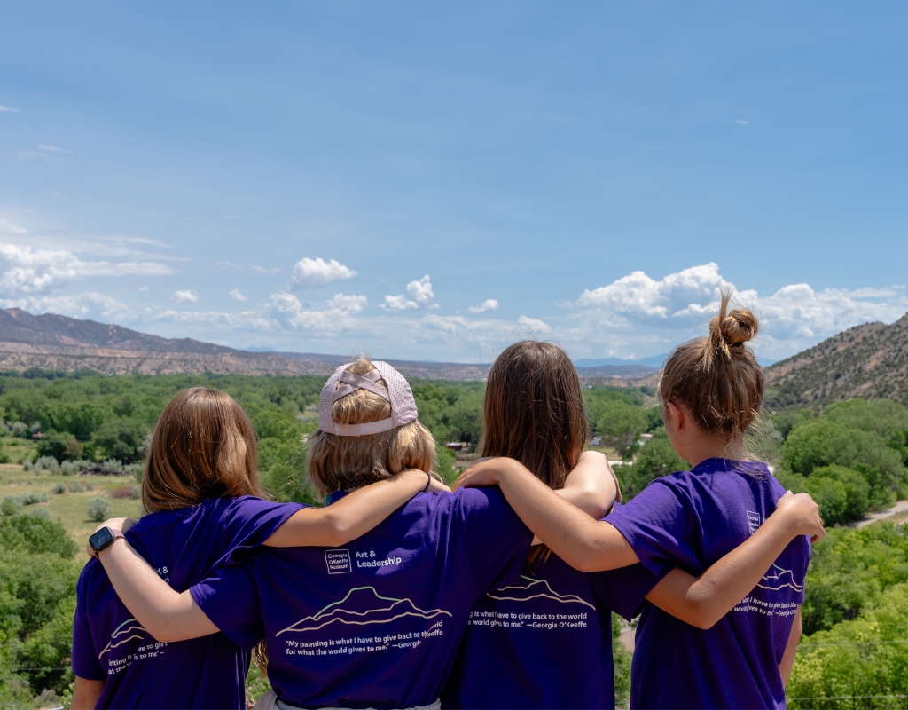 A group of four young people stand with their arms on each other's shoulders looking out over a desert landscape. All four wear matching purple t-shirts.