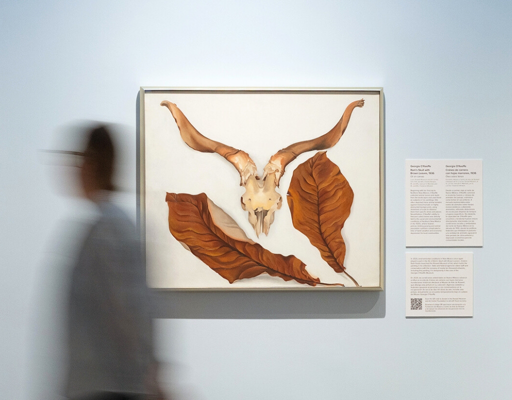 Photograph of a painting of a Ram's skull framed by large brown leaves against a white background. The paintings hands in a gallery with light blue walls. To the left, a person moves so they are blurred.