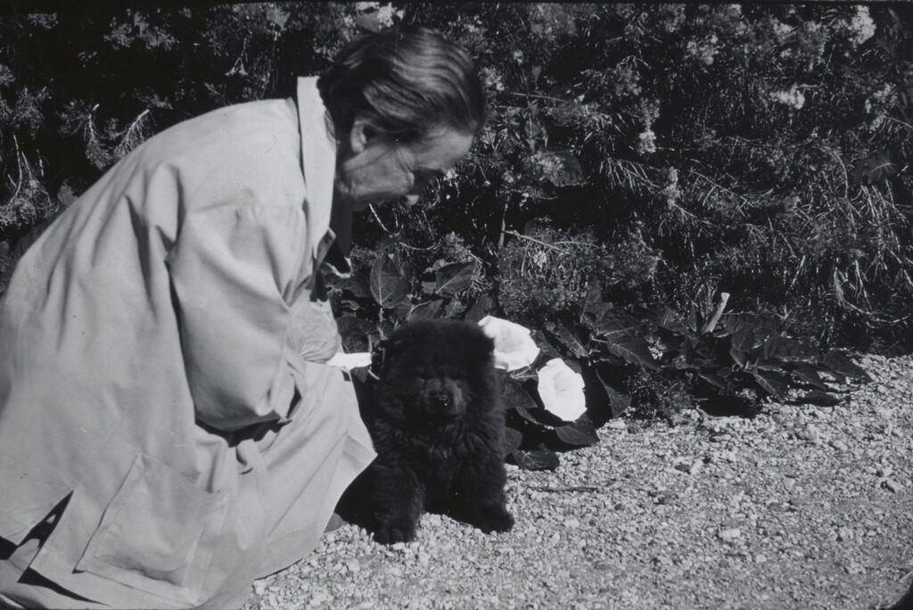 Black and white photograph of Georgia O'Keeffe kneeling down beside a small Chow Chow puppy.
