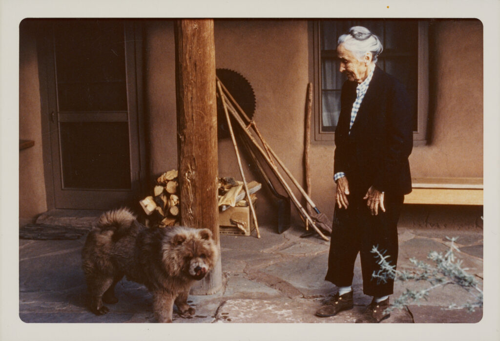 Photograph of Georgia O'Keeffe standing in her home courtyard with a small brown Chow Chow. O'Keeffe's grey hair is tied up and she wears a black and white suit.