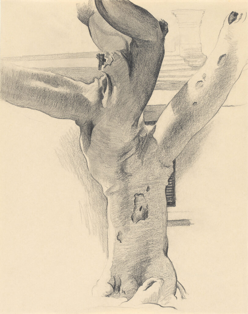 Vertical graphite drawing of large, multi-limbed banyan tree with window and shutter, roof detail and column lightly drawn in background.