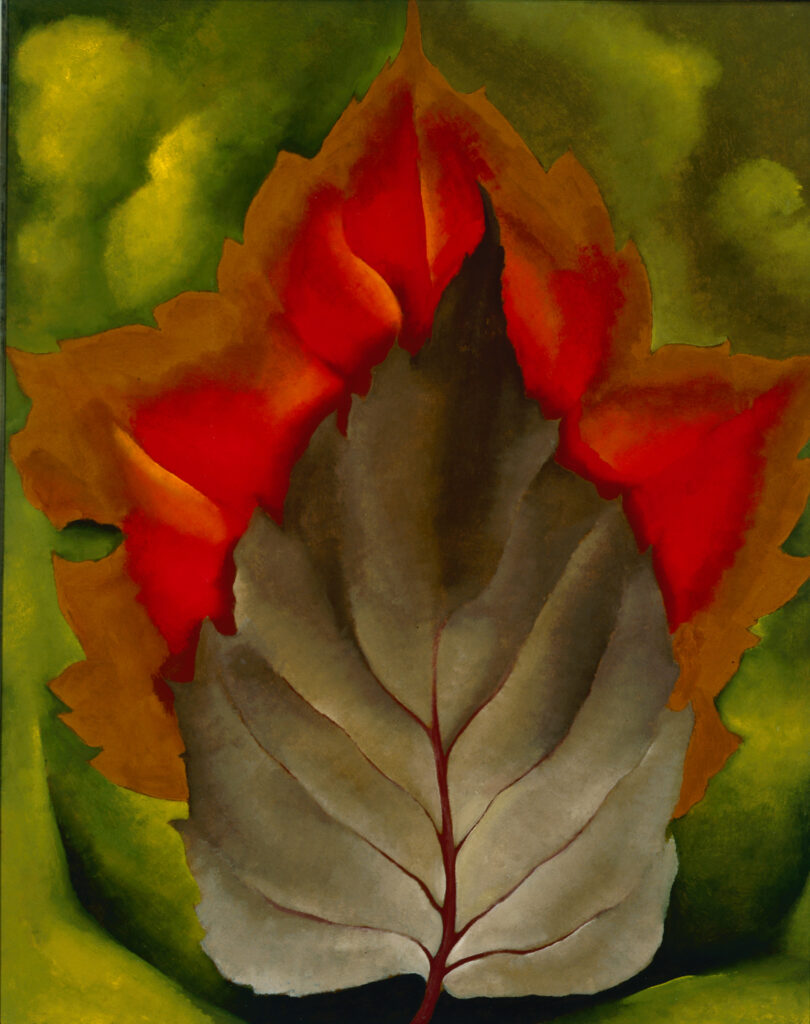 A brown leaf with dark red veins rests atop a larger, bright red and orange leaf with browning edges. These sit against a blurry, textured green background.