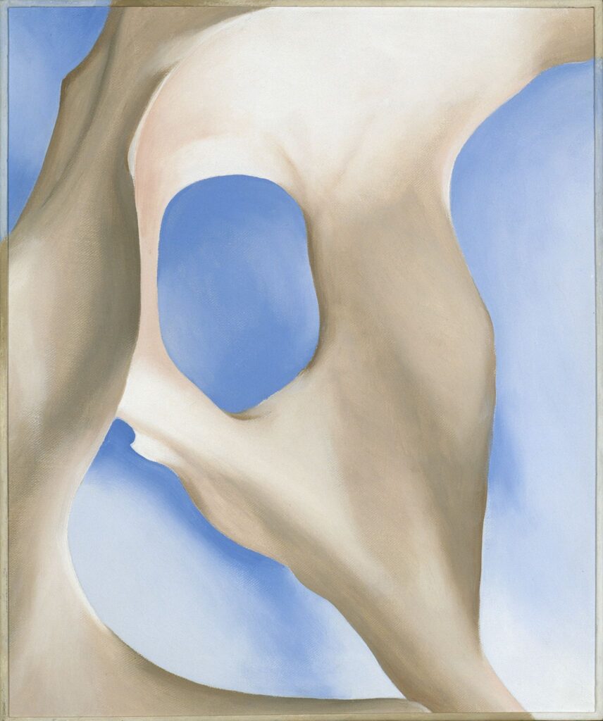 An animal's pelvis bone, seen from the side, spans the length of the composition. Behind the bone is a softly shaded blue background.