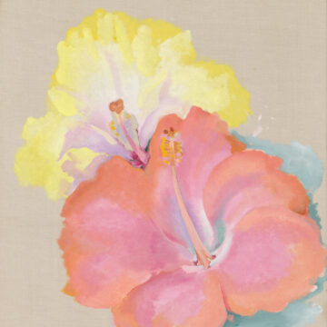Unfinished Artwork- one of several unfinished works by O'Keeffe that contain either preliminary drawings for unrealized oil paintings or unrealized oil paintings. A pink hibiscus sits at the foreground of the oil painting with a yellow hibiscus tucked behind.