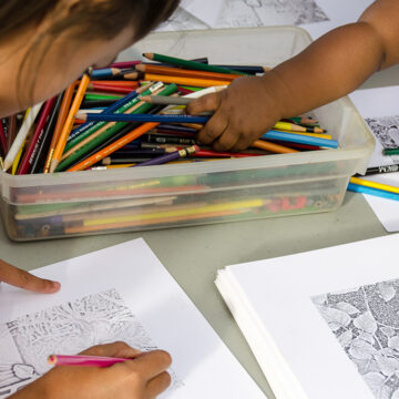 Close-up photograph of young people bent of drawing with a box of multiples color pencils.