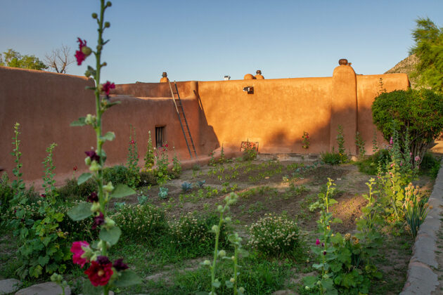 Photograph of an adobe house with a small chimney and a ladder leaning against it bathed in sunlight. In the foreground is a lush green garden with a tree on the right and some red flowers on the left.