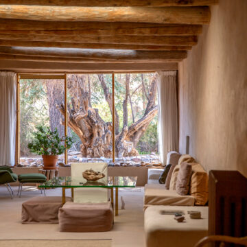 View of a living room designed in beige tones with a chaise lounge and low seat cushions. A large window at the end of the room shows a wide tree trunk and branches.