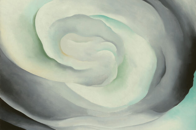 Spiraling grey-white tones flowing outward from the center, as if looking into a rose from an aerial view. Subject not readily identifiable as a rose as the "petals" are distinguished by tonal variations of dark black/grey blending into light grey/white.