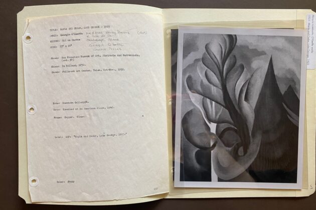 An open folder with typed details about dimensions and exhibition history of O’Keeffe’s painting ‘Pattern of Leaves,’ 1923 on the left and black and white photographs of the painting in plastic folders on the right.
