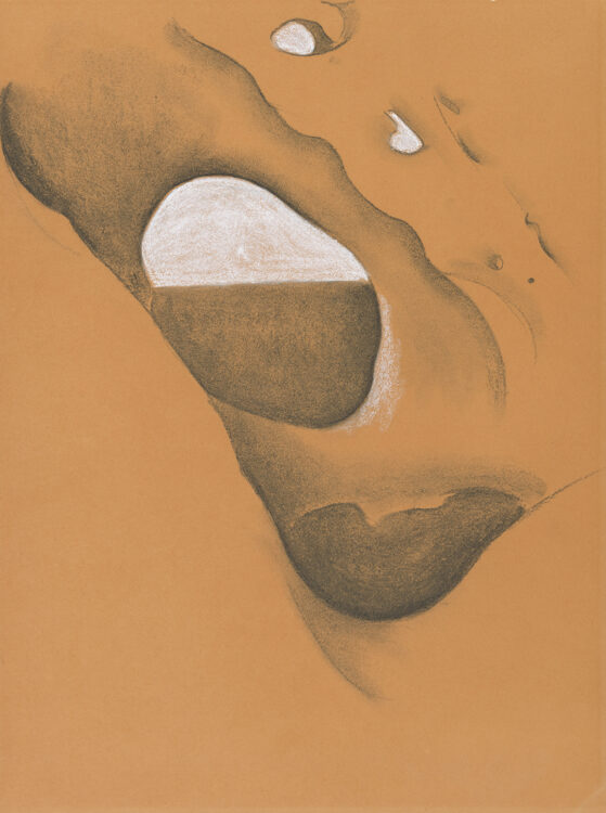 An abstraction using a piece of bone. The bone is pierced by several holes. Two large holes fill the center of the work. The upper opening is divided into two sections. The top section has been filled with white chalk, while the bottom section has been shaded with dark charcoal. The lower large hole has been completely shaded with dark charcoal.