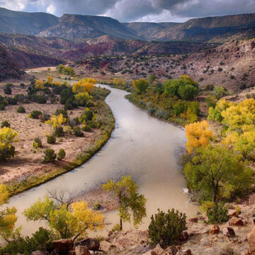 Photograph of the large Rio Grand river snaking through a desert landscape. On the banks are green and yellow trees.