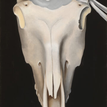 Vertical painting of frontal view of horse's skull with a white rose centered on the forehead. The skull fills most of the canvas, floating in a pure black background.