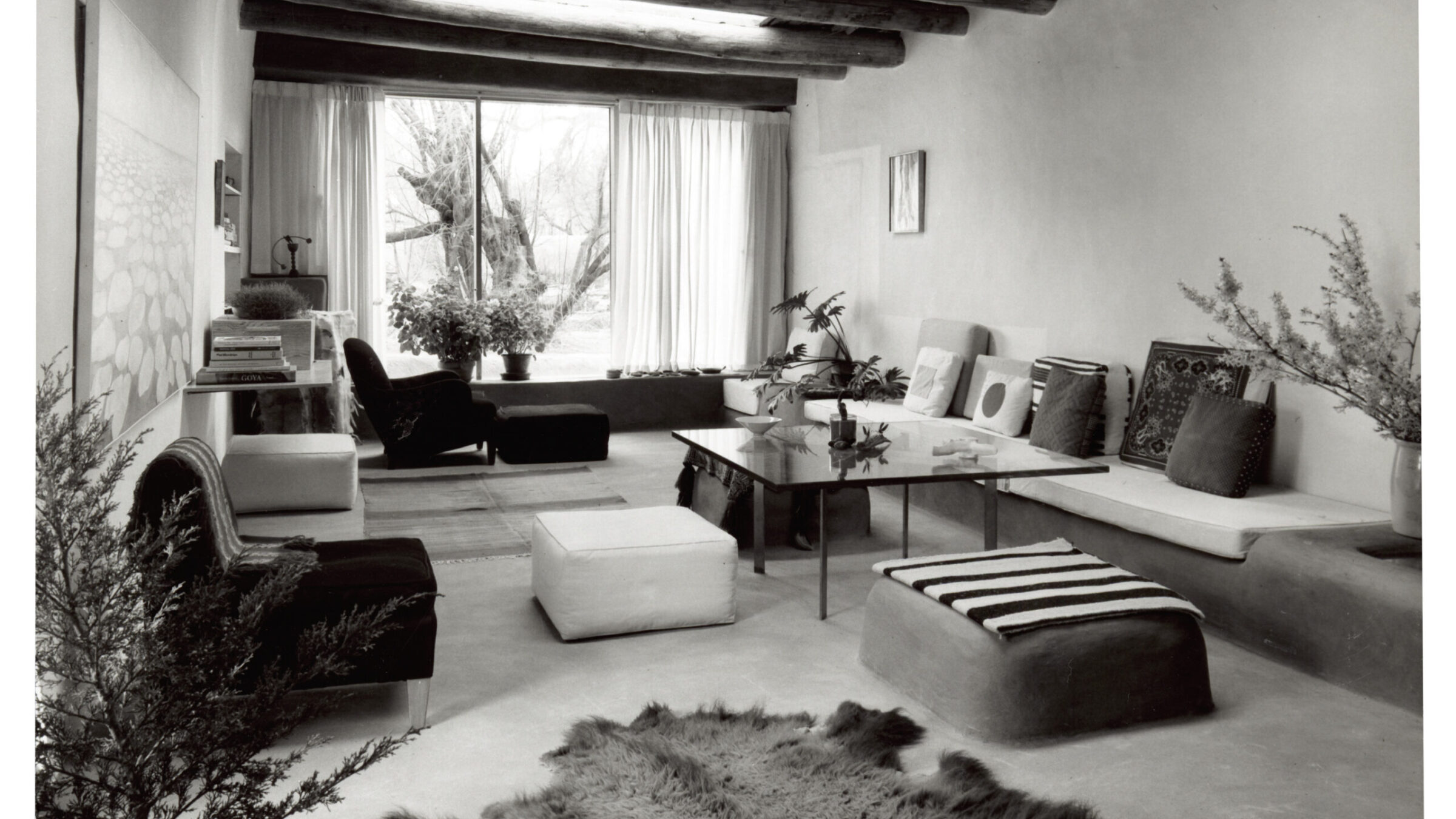 Artful Living: O'Keeffe & Modern Design - The Georgia O