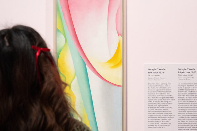 A person with long dark hair pulled up in small red bows looking at an abstract painting of a pink tulip. The painting is a vertical narrow canvas of an abstract section of a pink tulip. The upper quadrant of the picture plane encapsulates a large rounded draping petal shape in gradient shades of pink with an arc of yellow at the bottom of the form.
