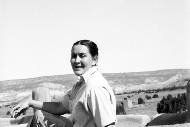 Chabot with her hair pulled up wearing a light shirt and jeans. She sits on a rooftop with a chimney behind her. The desert landscape and open sky is in the background.