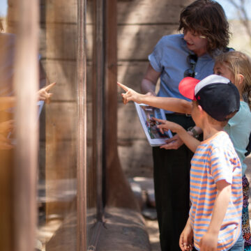 Photograph of two children and one adult peering at a large window of an adobe home. One of the children is pointing something out to the other.