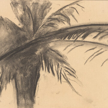 The upper portion of a palm tree is visible on the left side of the paper. Several palm fronds, rendered by softly smeared applications of charcoal, extend from the tree and fill the paper. One particularly long charcoal mark sweeps across much of the canvas at a slight diagonal and helps to form the palm fronds.