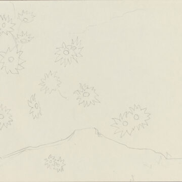 Graphite sketch of flowers and Pedernal on medium thick, cream, slightly textured wove paper