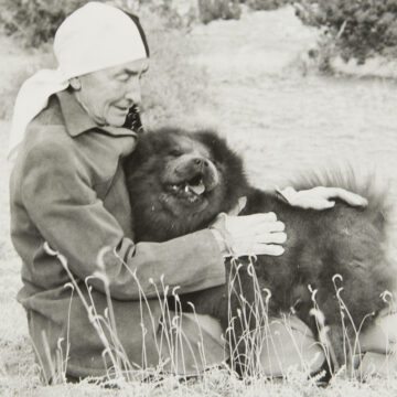 Black and white photograph of Georgia O'Keeffe sitting on a grassy ground and holding in her arms a Chow Chow dog. O'Keeffe wears a black and white bandana on her head and a jacket. The Chow Chow appears giddy.