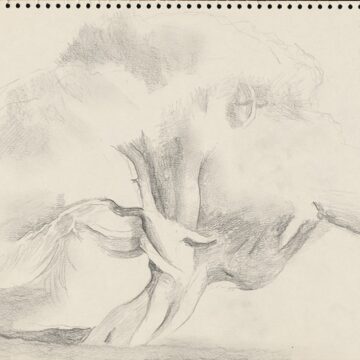 Graphite on moderately thick, cream, moderately textured wove paper of large tree with large leaves overall sketched horizontally on paper.