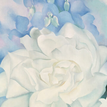 A white rose stretches across the bottom half of the composition. Above the rose, a cluster of delicate, light purple sweet peas rises toward the top of the canvas, their petals dissolving into the pastel purple, white, and pale green background.