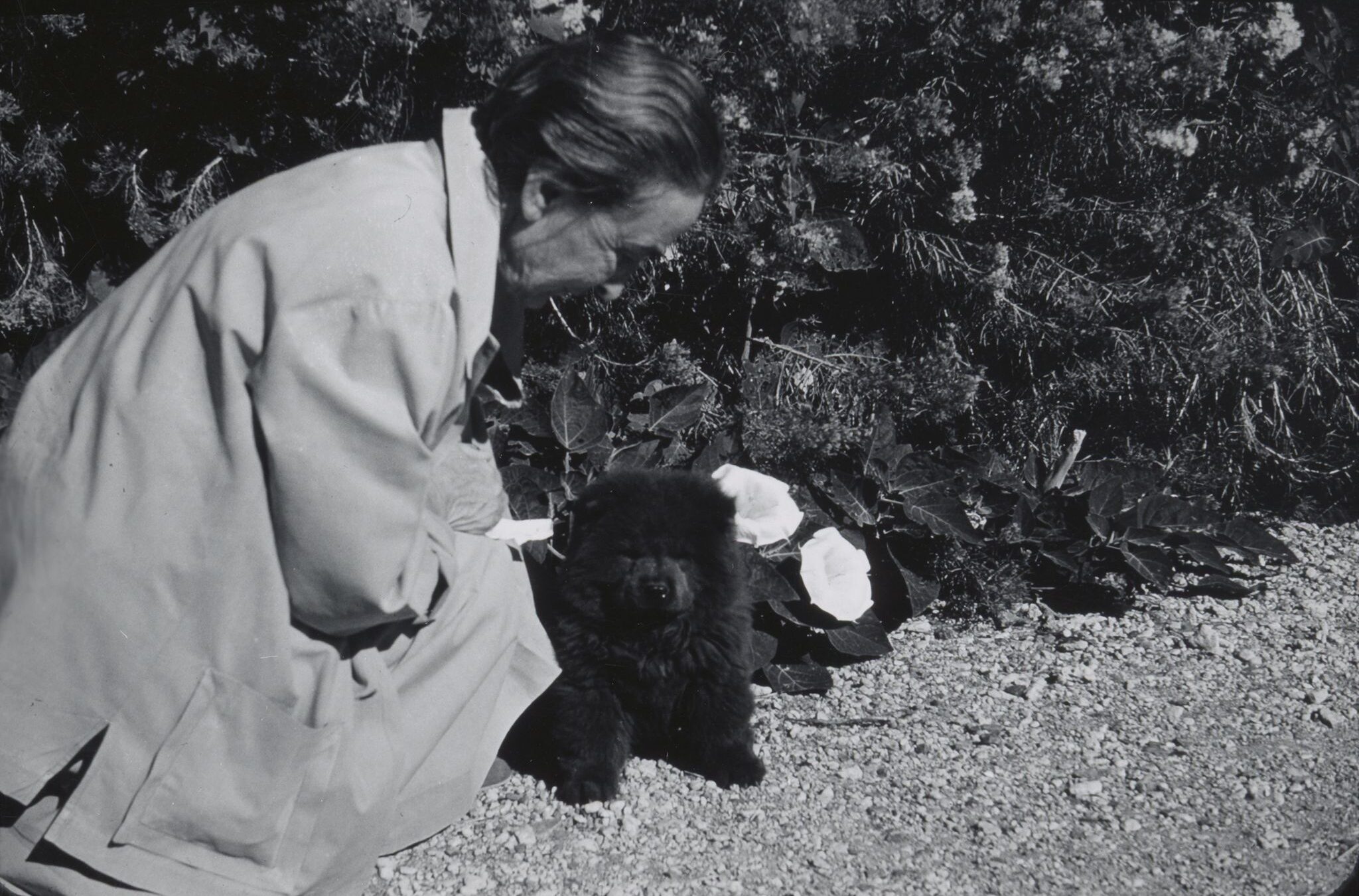 Mornings with O'Keeffe | Friends—Maybe the Best: Georgia O'Keeffe