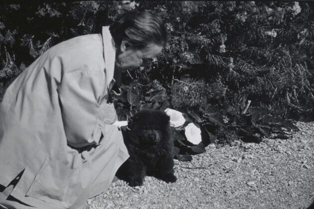 Black and white photograph of Georgia O'Keeffe kneeling down beside a small Chow Chow puppy.