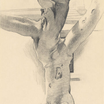 Vertical graphite drawing of large, multi-limbed banyan tree with window and shutter, roof detail and column lightly drawn in background.