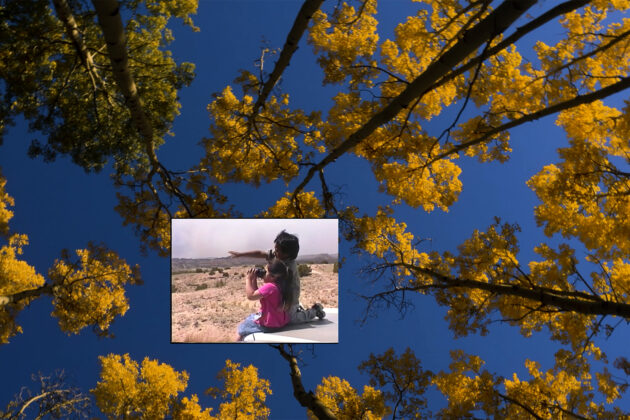 A still from a film depicting aspen trees with golden foliage shot from below against a blue sky. Superimposed on-top is an image of two small children pointing and looking at something in the distance against a desert background.