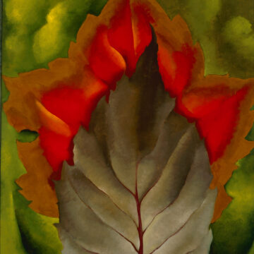 A brown leaf with dark red veins rests atop a larger, bright red and orange leaf with browning edges. These sit against a blurry, textured green background.