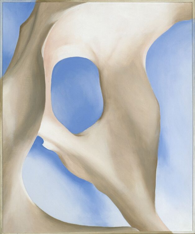 An animal's pelvis bone, seen from the side, spans the length of the composition. Behind the bone is a softly shaded blue background.